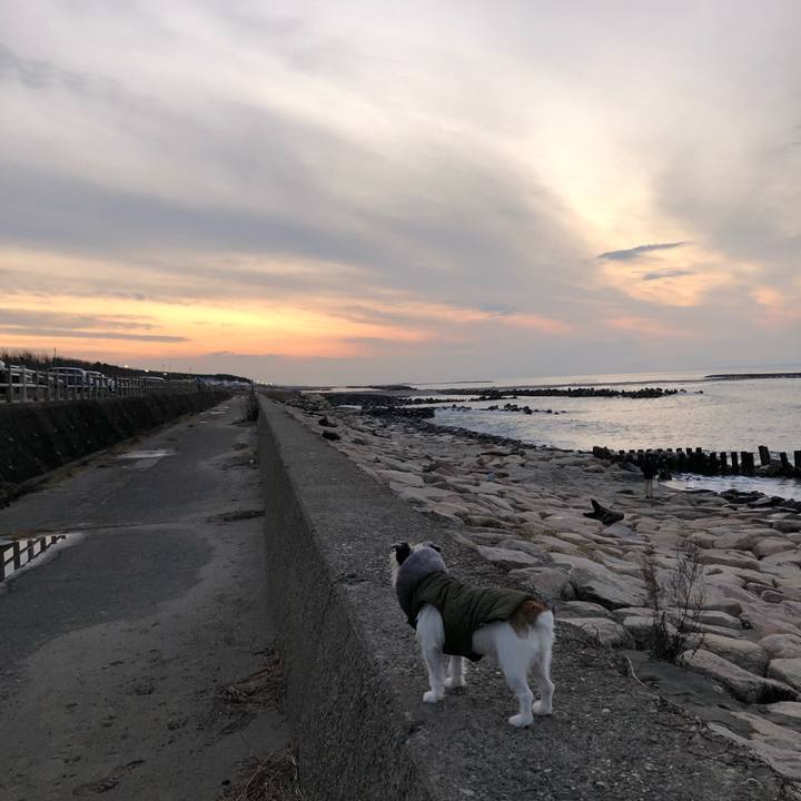 A4cffdd2 aa47 4ed0 859a 50bac3a2ec5d 1609111456711