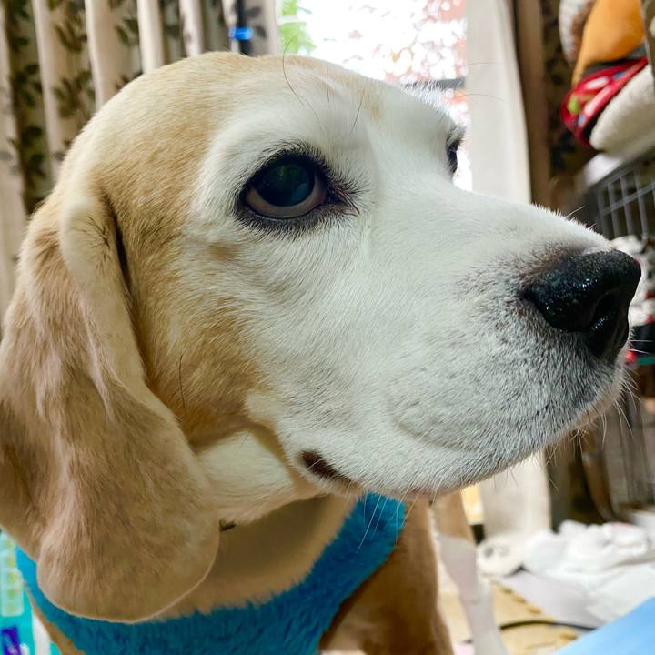 A4d01e71 217f 487d bb5d 02e1b50cea94 1638762066499