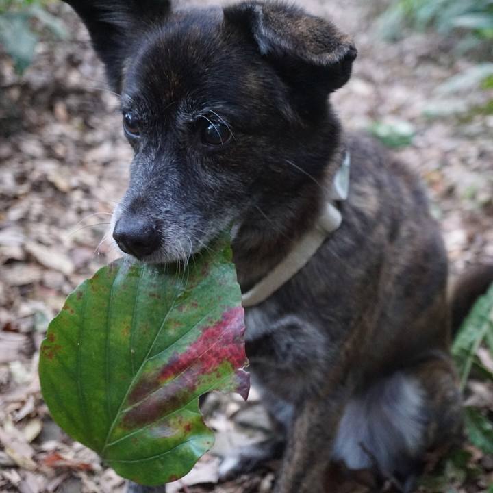 A4d02b5d c250 472d 8cc1 be74b52ad602 1605736107131