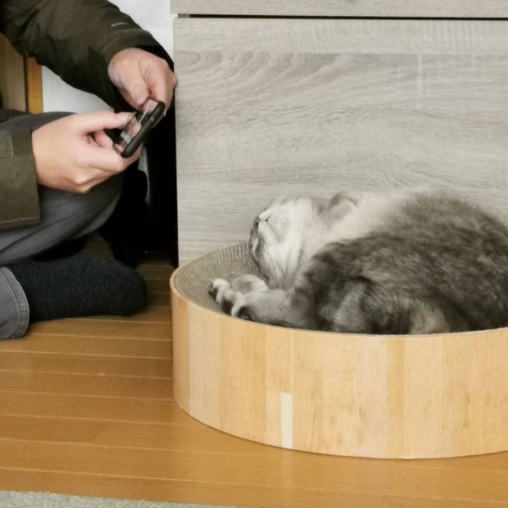 A4d077dd 86d6 4abf 8729 08102674dc33 1639883945349