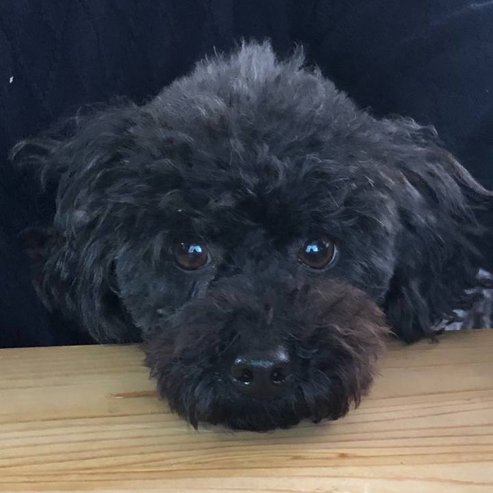 A4d07b71 974e 45eb bac9 2e68026df61d 1615010037049