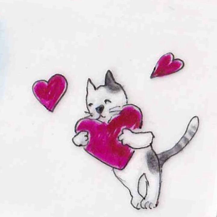 A4d09590 5008 409f 9aa0 73a1890a773f 1648474463106