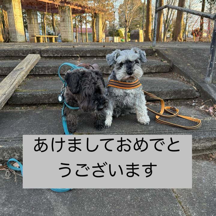 A4d0f41b a1dc 4291 aa0f be17c8a03b00 1735818040054