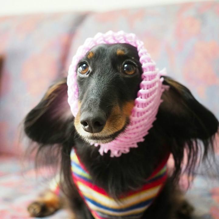 A4d0f998 3fa2 4f16 b9d2 e758802f8527 1579332106179