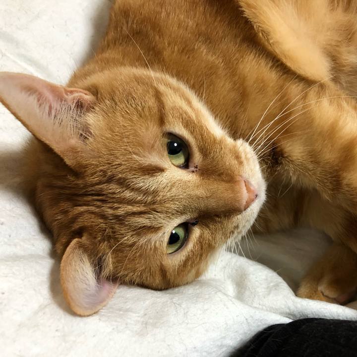 A4d10628 f1f0 4779 9e51 a396633858bf 1582796258313