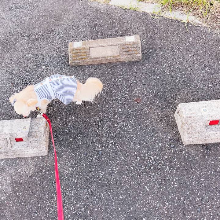 A4d134bd 2028 4b75 a1af a92371d839c6 1697203461045