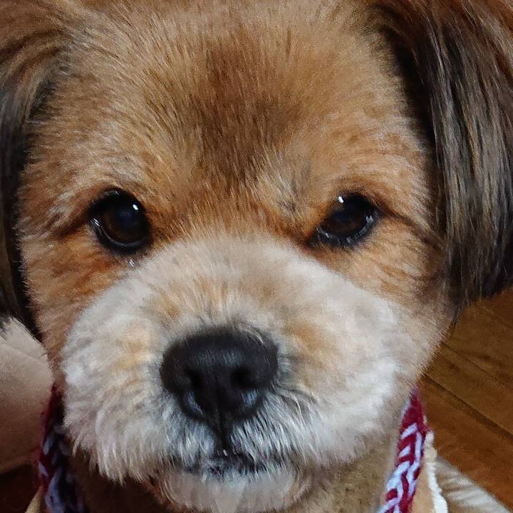 A4d170fd ba66 4633 9425 be80472cd0b5 1550481099638