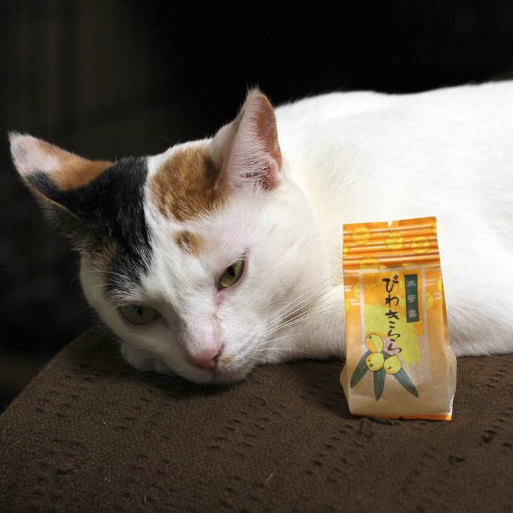 A4d18d2a 6a82 4e82 918b a27317aa036c 1563269981111