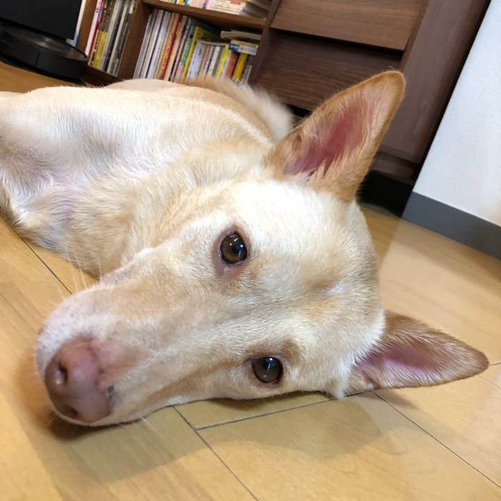 A4d1d3b6 c7df 44bc 8994 3e59bb91006c 1697076185438