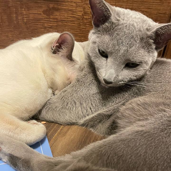 A4d1f710 a0c6 4579 bd0e d091c31bc551 1736286739328