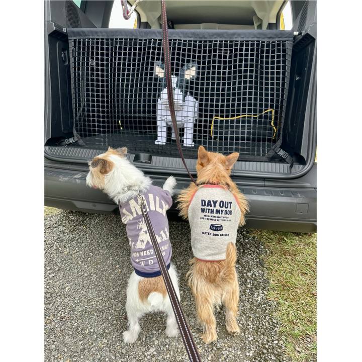 A4d214e7 eb72 48f3 9e14 290d3d3a4001 1730041783528