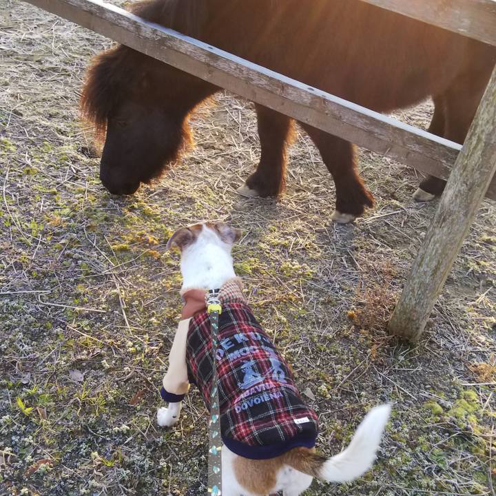 A4d21e90 8cdf 4aad 8878 310e0cb9fa12 1546307650845