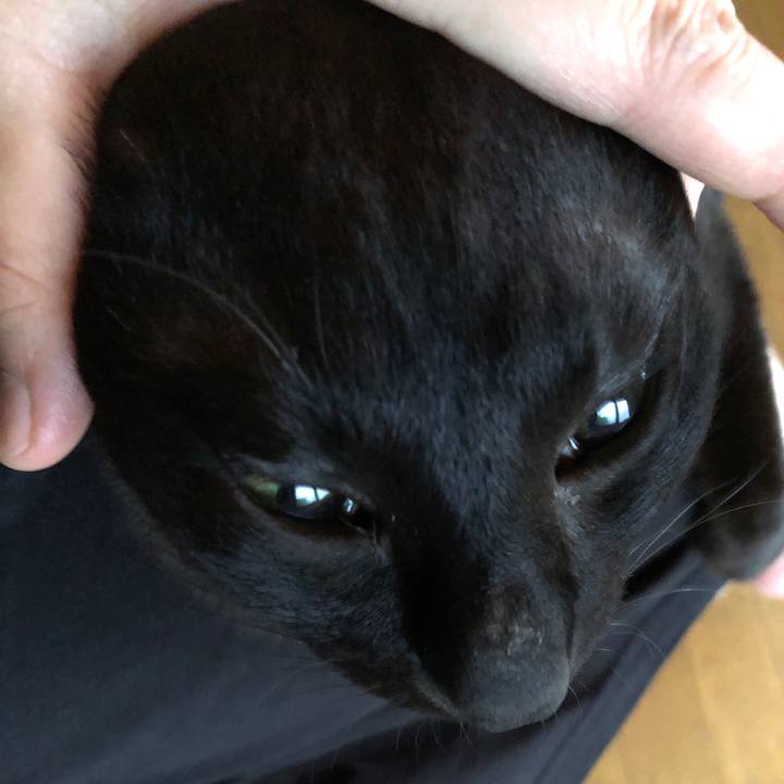 A4d23ea0 377f 40ed b8e7 19739d5ce988 1689329080887