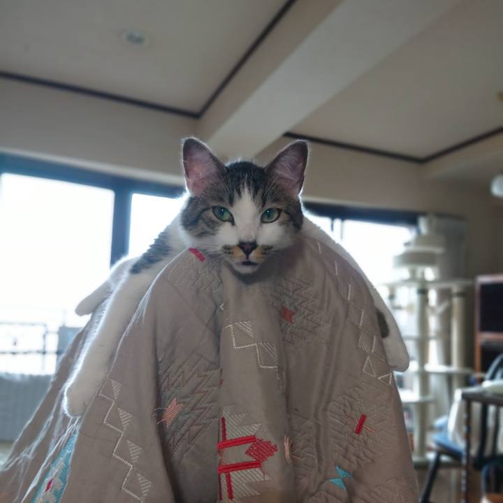 A4d26cb2 c26e 4122 b6e8 94abea75a8ff 1592012712234