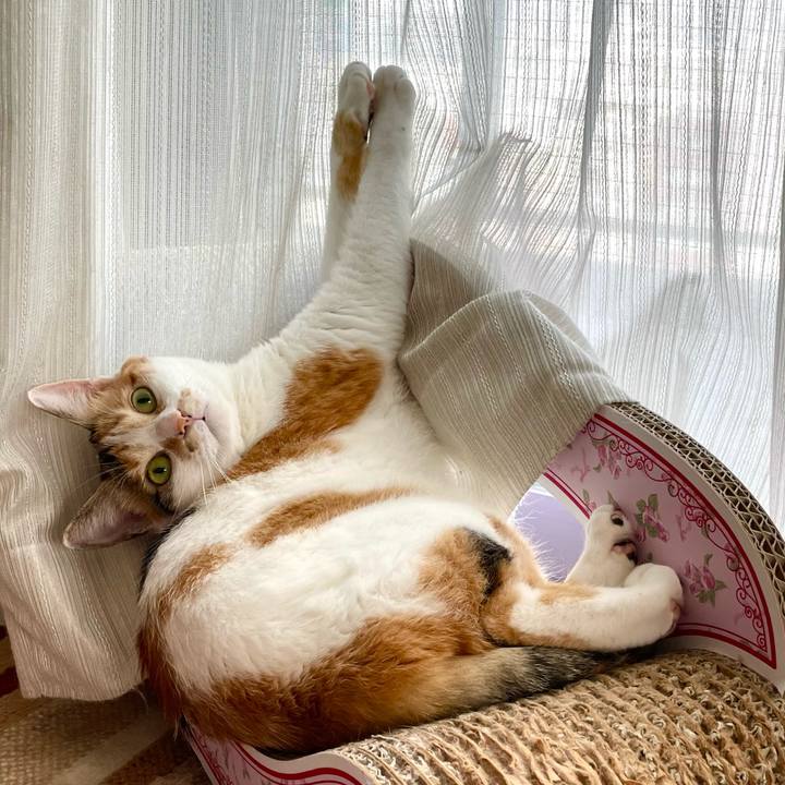 A4d26d56 bcbe 4ec2 b643 1ee87f3e8ec2 1659236995545