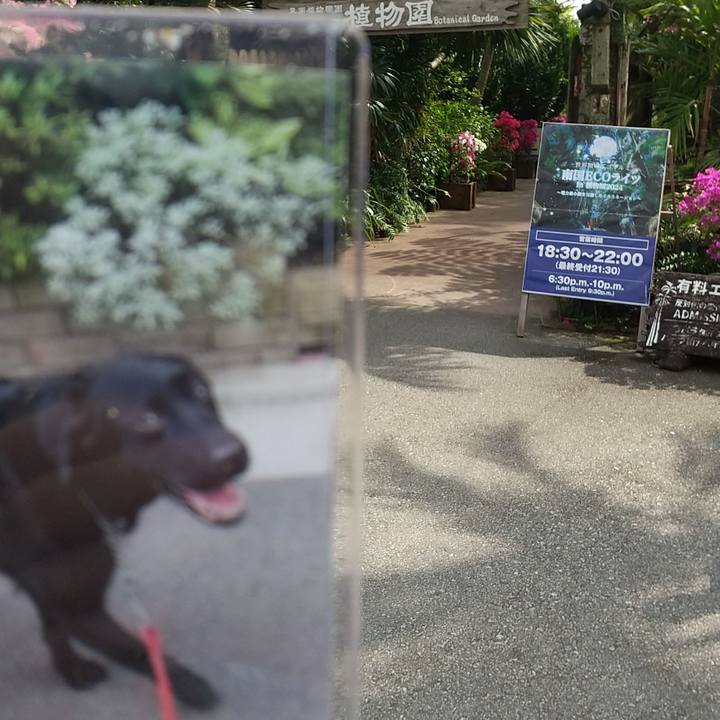 A4d27929 1b68 4d41 afce b599609bd1f9 1741658143430