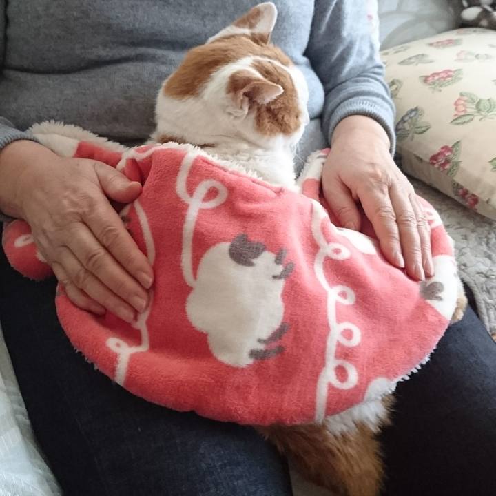 A4d2a75e 69dd 4471 9a68 6e7872b98186 1577928539261