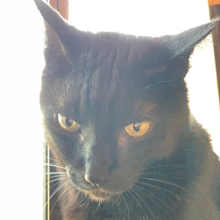 A4d2bddd 3d86 4de0 bbbf 434721742fc2 1587172093749