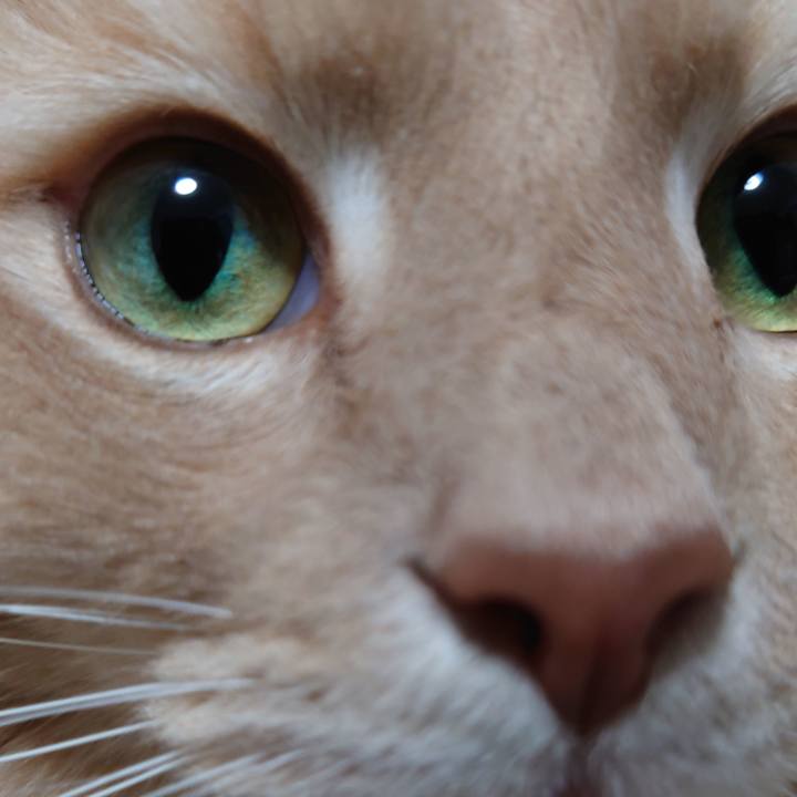 A4d2f0a6 9962 4acc b548 b3593a68057b 1610854197963