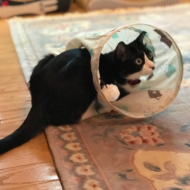 A4d2ff2f da7b 4bf1 9a95 930e3042fb7c 1558430163450