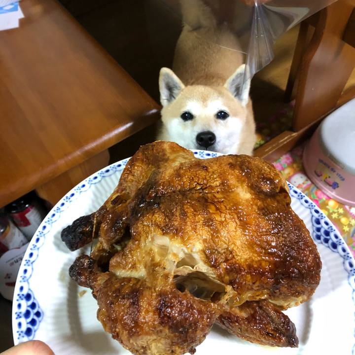 A4d30d56 8300 44db b6cd 6f80f2f02280 1576929366519