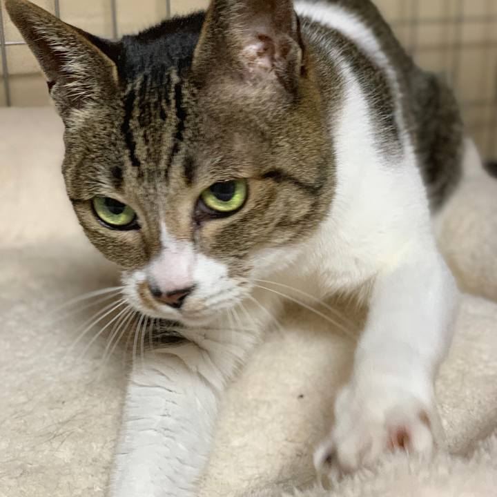 A4d317e2 1c98 436b be2a 89e41510ae37 1589073262341