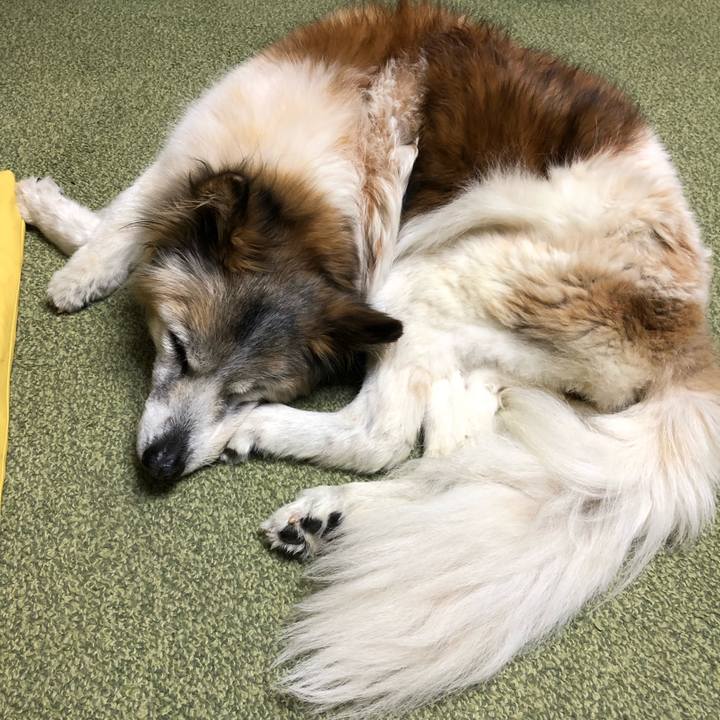 A4d3325e 93e7 40aa 8410 05e7dd20bdb4 1555672064978