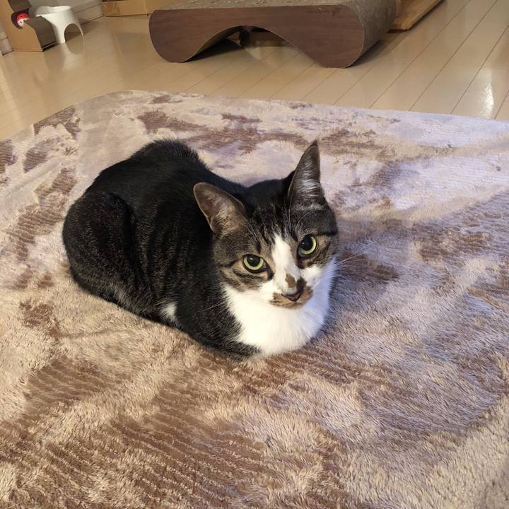 A4d3643f d799 4a2d 9dc2 c939f5259613 1537449784023