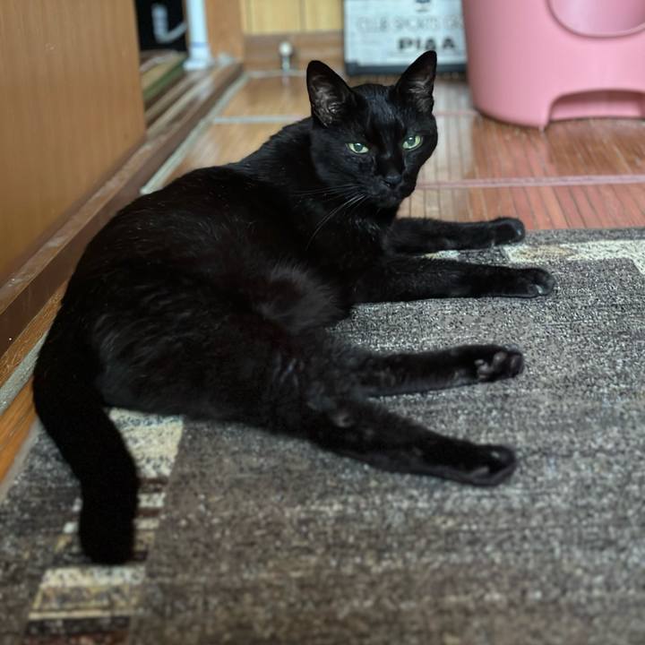 A4d3670e 1768 4e7a 918b 5b6e65cfe595 1692228444591