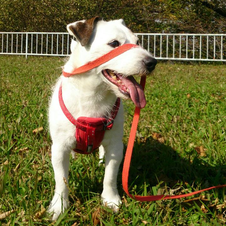 A4d37070 b7ca 4b2e 8a24 7252161d309b 1510355446528