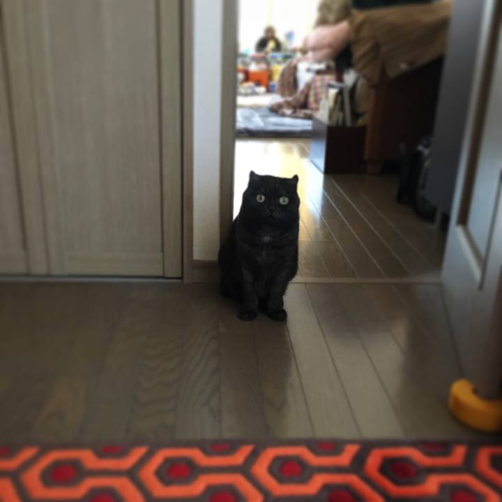 A4d397a1 35d9 44b4 9259 277bebc9ed71 1542926643802