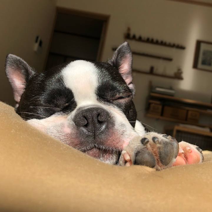 A4d3afaa 068b 484e b6a7 92ec699cd83c 1525043387949