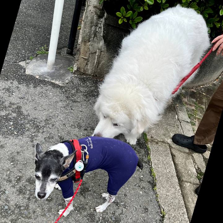 A4d3c08d 34e6 484e 9dbd 14702b37e3e0 1652487467277