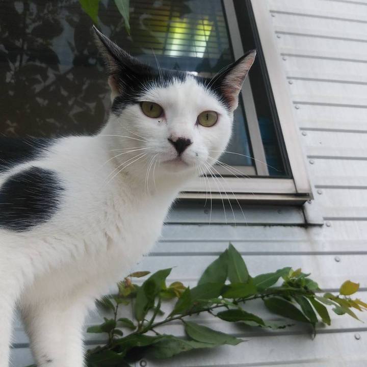 A4d3d4e3 c30a 4138 8f31 15b893ee718b 1595548629796