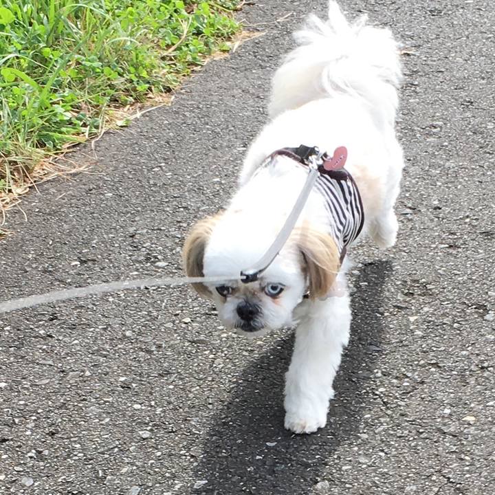 A4d3eaa8 0c68 456e a4cd b9c3ed72c8e1 1571541322545