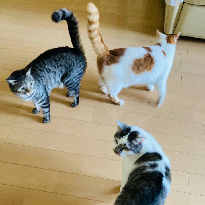 A4d40a0e 1856 424a ba52 6083b6cdb1f1 1626210665682