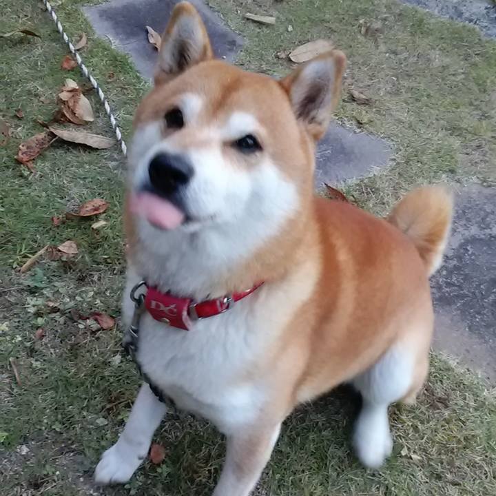 A4d4223b a0f2 49f6 a62f 5bb28f7eb788 1607691060186