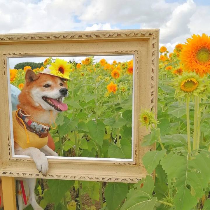 A4d42853 6cd0 4438 a914 193962ca9bed 1693117660162