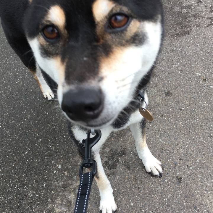 A4d435cc 4dd6 4e55 a24e 532240b822d8 1536994764869