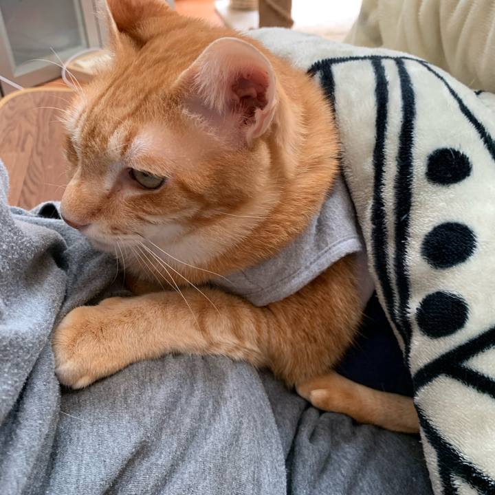 A4d44187 c666 4240 ae71 361560deaeec 1613014030144