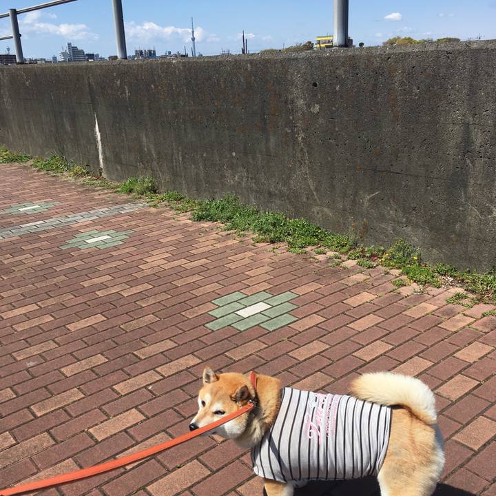 A4d441e1 17ac 4fef b63c 2284ab6dd8ed 1554781715069