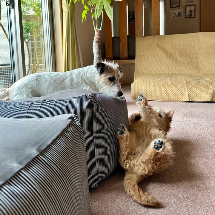 A4d47d67 25f8 42e9 ad3b a97025e29550 1709861840120