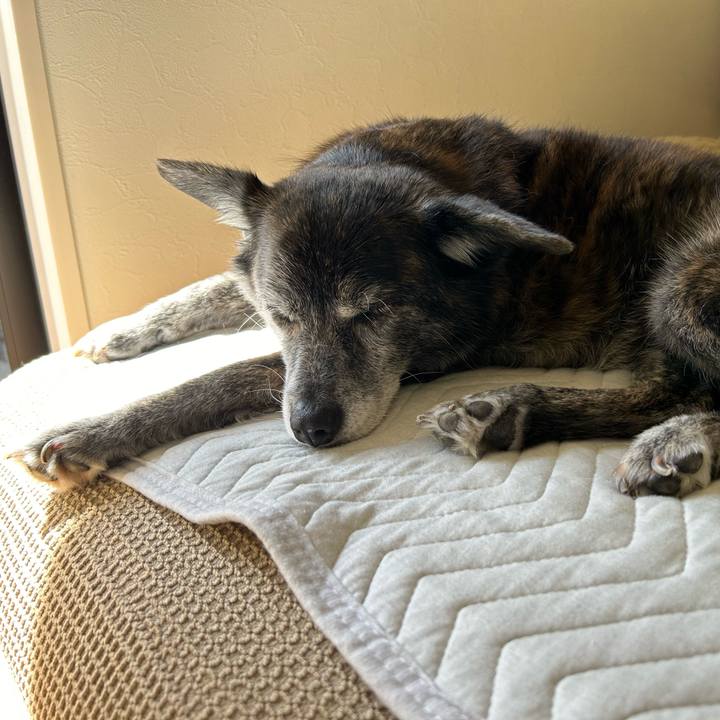 A4d4c3df db3c 4bc9 9428 c58cc950b892 1728011481850