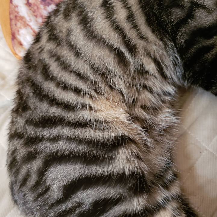 A4d4de0e 3a3b 405f 9391 d786f5d09277 1543209597090