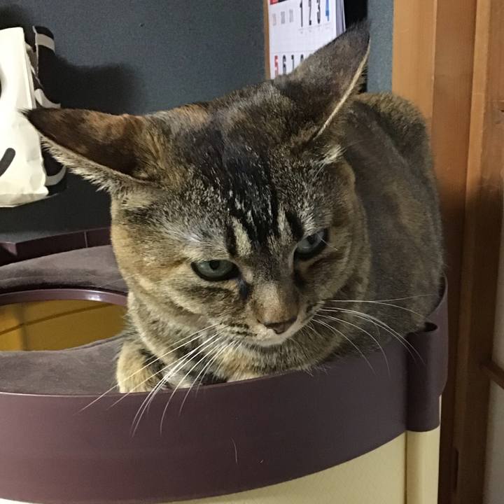 A4d4f1c5 d158 42f4 b384 3694ce73b64b 1675682248986