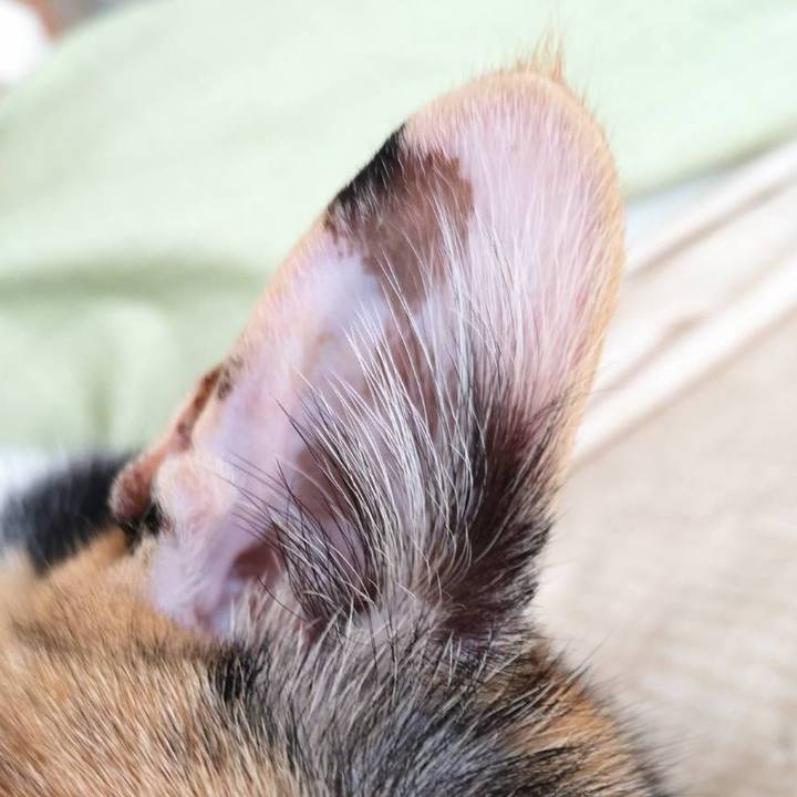 A4d5014f 6654 4fae b54e a9ca24bcf3d6 1617940240872