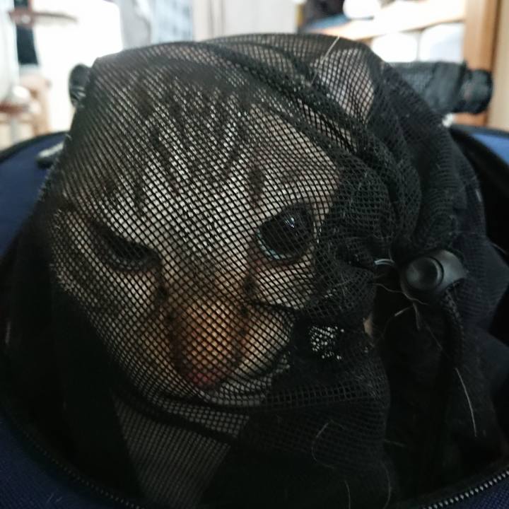 A4d50922 a08b 44e7 9ba8 f9af315b9677 1599882477032