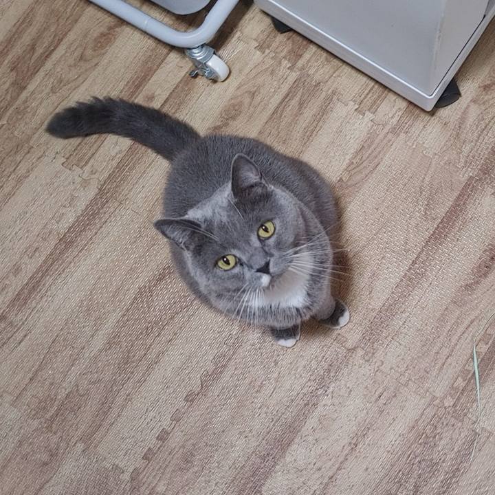 A4d56b61 83a5 4eb7 aa7e c4886e9af907 1722168540294