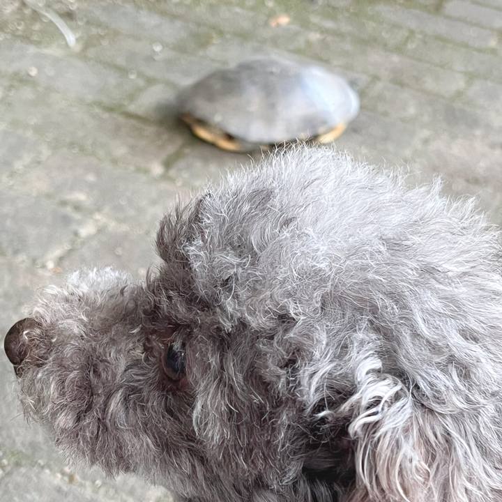 A4d5745b 8ddb 48ee 8b01 aa8fc0fca21c 1685097384027