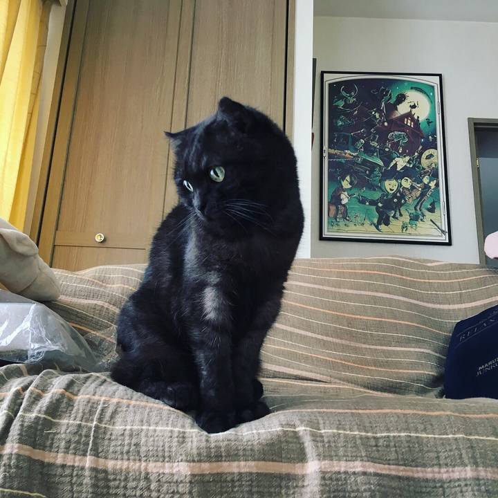 A4d57ba8 5df3 44db b26a 4928faa3cb48 1529165395365